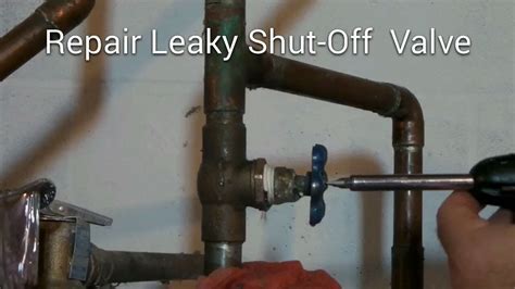 shut off valve leaking at stem|DIY